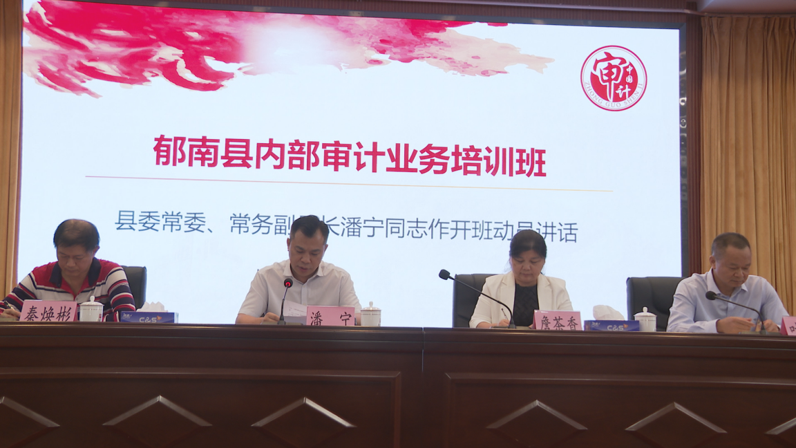 推進內部審計工作高質量發展_1