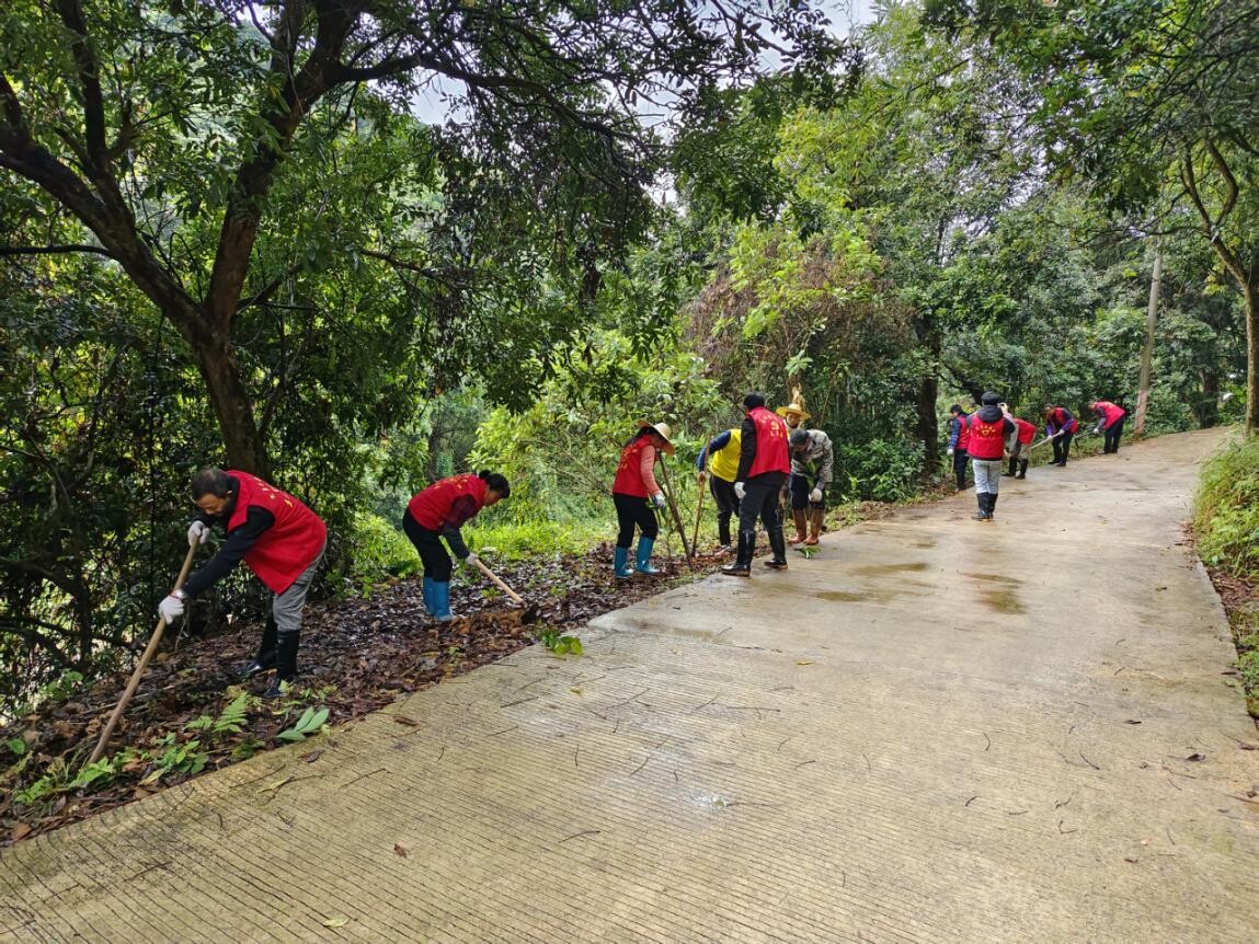 黨建引領齊發力，攜手同心添新綠.wps_1