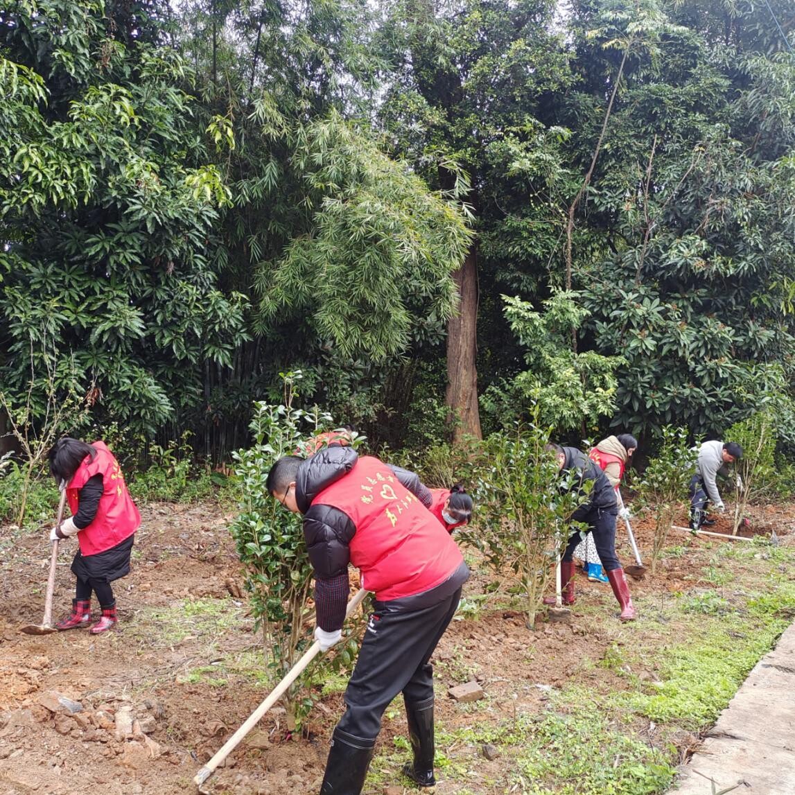 黨建引領齊發力，攜手同心添新綠.wps_2