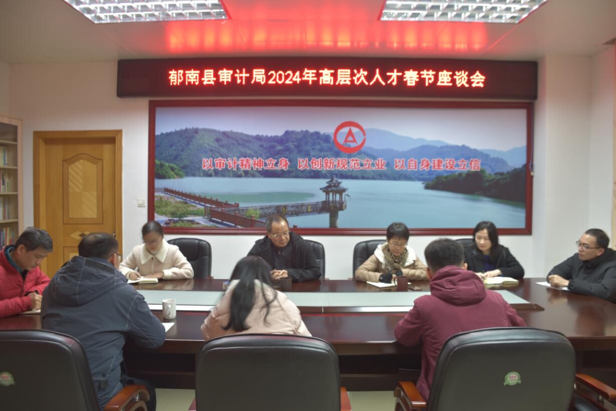 以高層次專業性提升審計工作質效1。30.wps_1