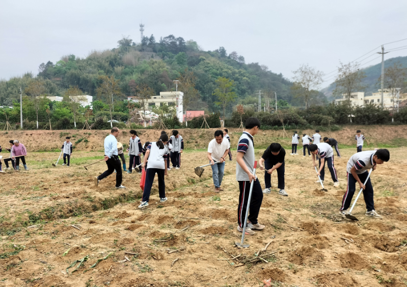 桂圩鎮(zhèn)初級(jí)中學(xué)學(xué)子赴桂圩龍崗村勞動(dòng)教育基地開展農(nóng)耕實(shí)踐活動(dòng)3.png