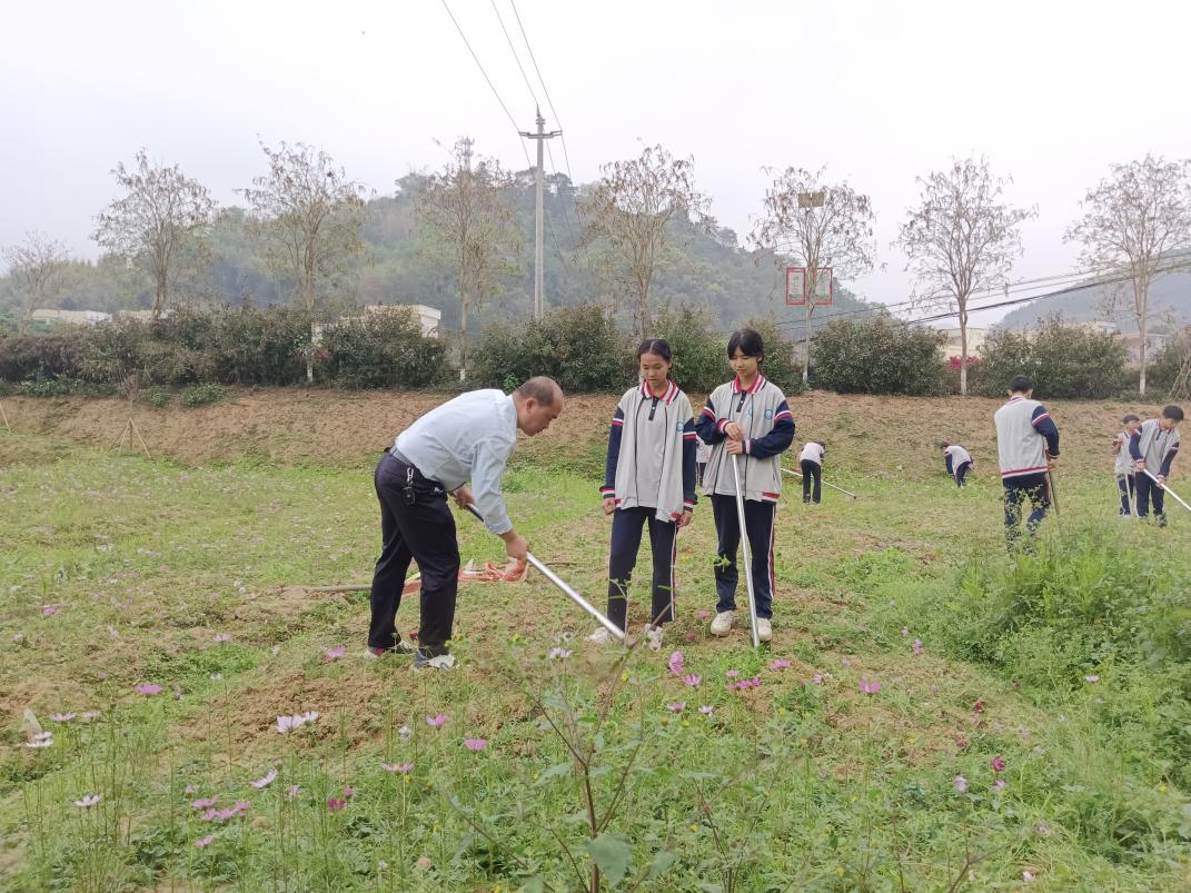 桂圩鎮(zhèn)初級(jí)中學(xué)學(xué)子赴桂圩龍崗村勞動(dòng)教育基地開展農(nóng)耕實(shí)踐活動(dòng)2.png