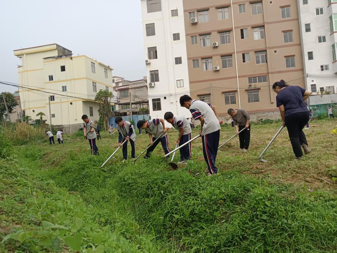 桂圩鎮(zhèn)初級(jí)中學(xué)學(xué)子赴桂圩龍崗村勞動(dòng)教育基地開展農(nóng)耕實(shí)踐活動(dòng)1.png