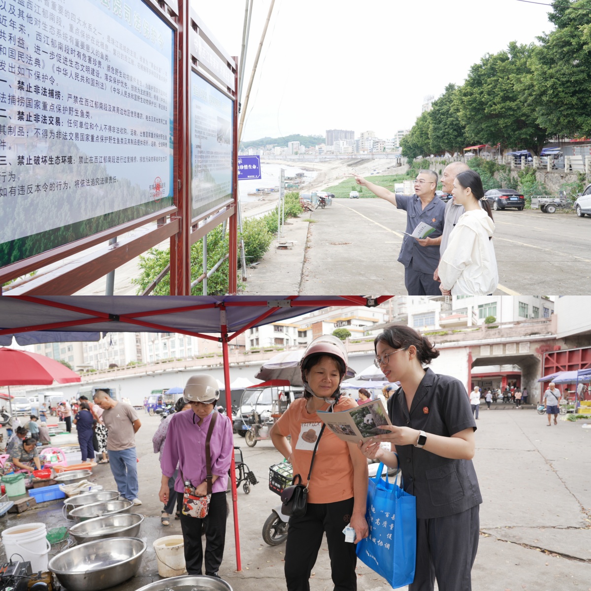 8.15生態(tài)環(huán)境保護新聞稿.docx_2